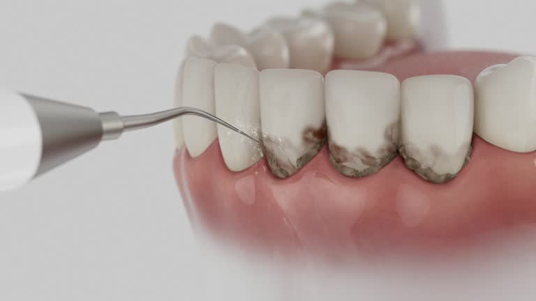 Reliable Emergency Dentist contractor in Manistee County County, MI by Dentist Open Now